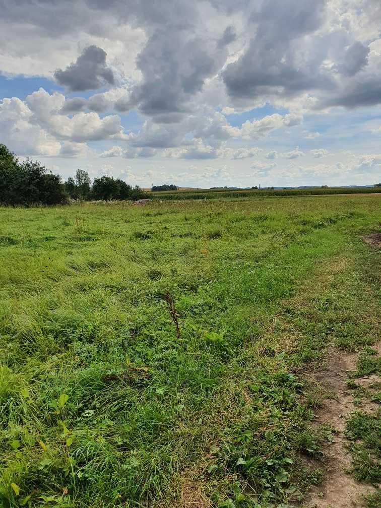 Działki budowlane w Roztoczniku, od 872 m2 do 970 m2 Dzierżoniów  920m2 Foto 1