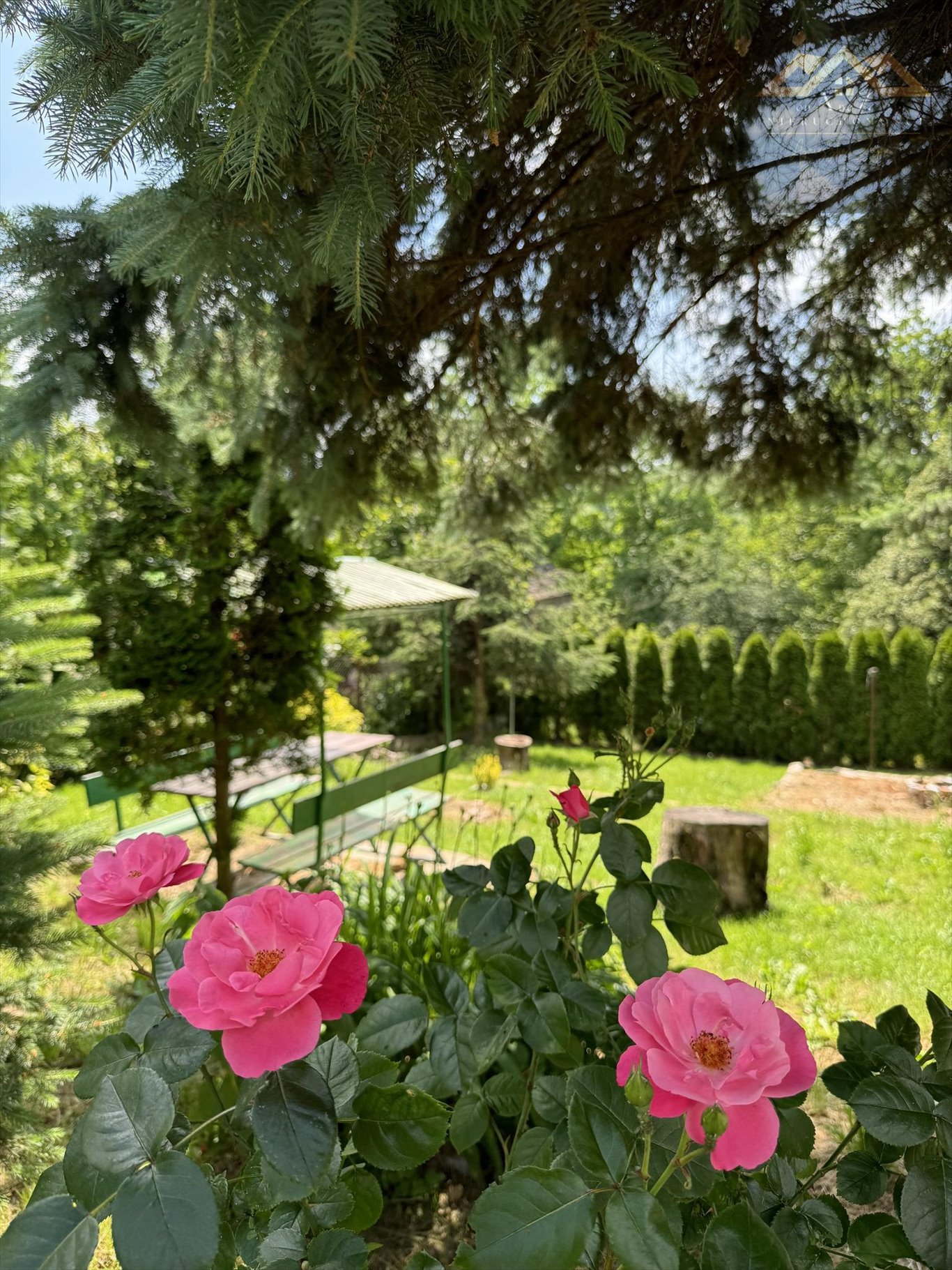 Dom na sprzedaż Milówka  87m2 Foto 4