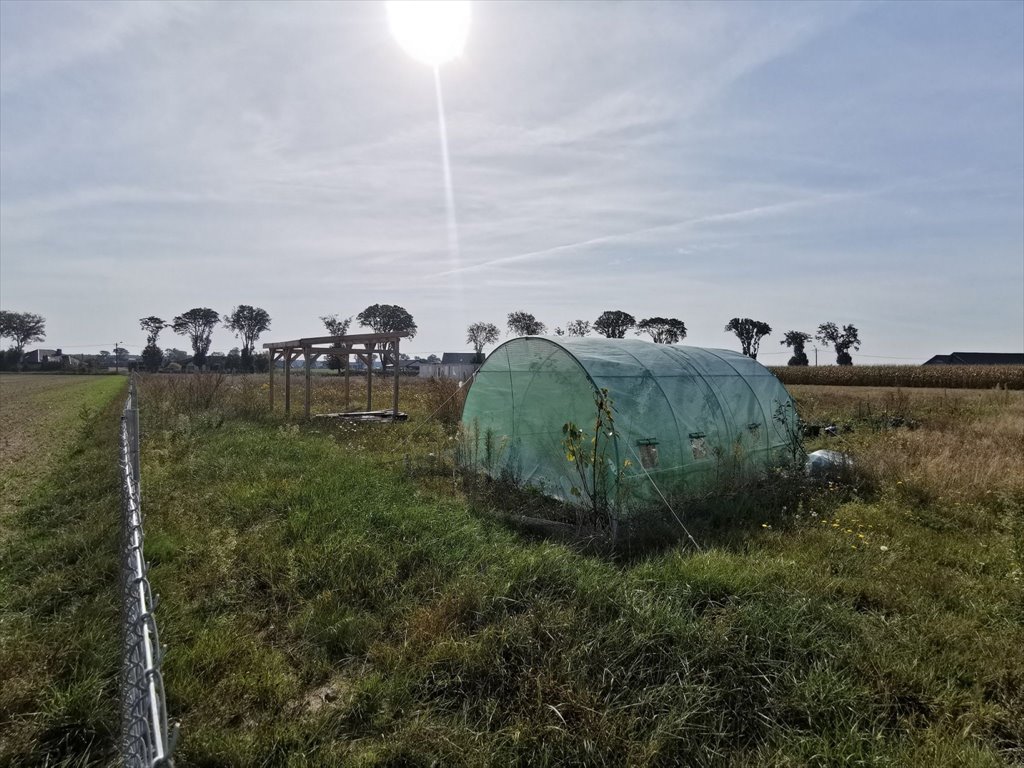 Działka budowlana na sprzedaż Lipka, Lipka  1 000m2 Foto 8