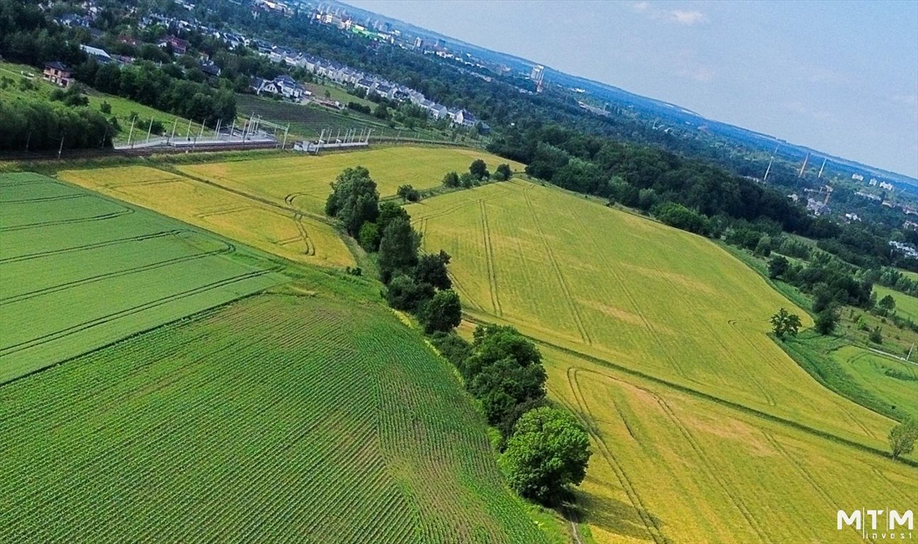 Działka rolna na sprzedaż Iwiny  9 878m2 Foto 2