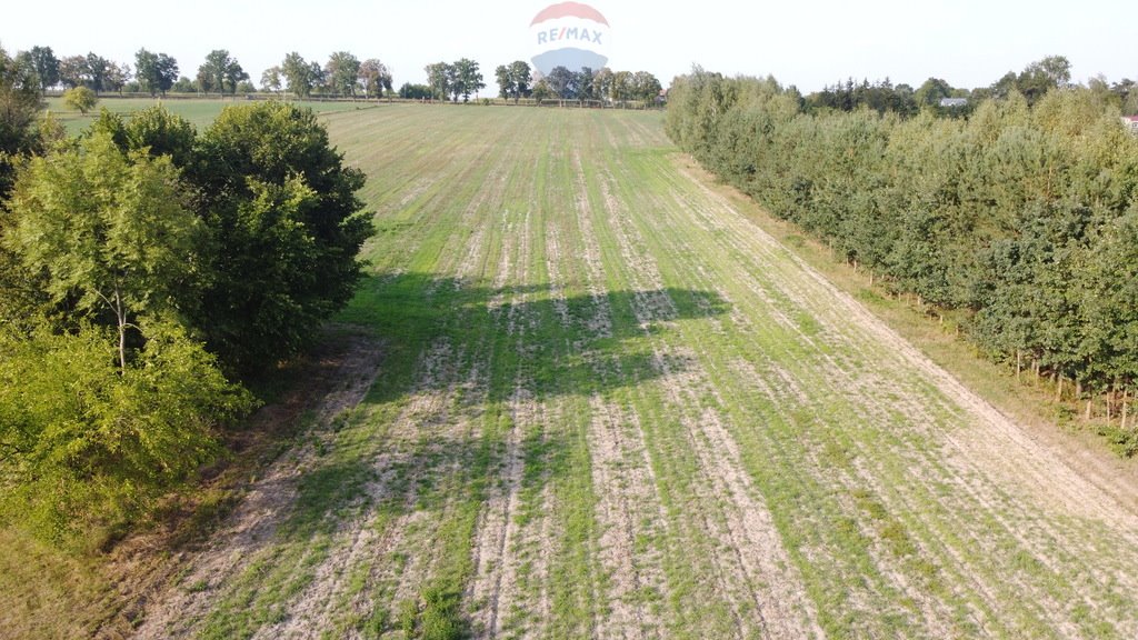 Działka siedliskowa na sprzedaż Bojmie, Warszawska  9 440m2 Foto 3