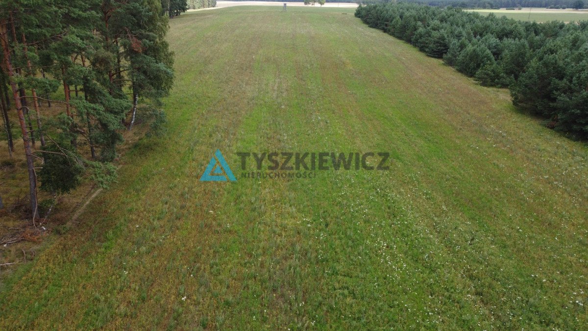 Działka rolna na sprzedaż Brzezinka  35 700m2 Foto 3