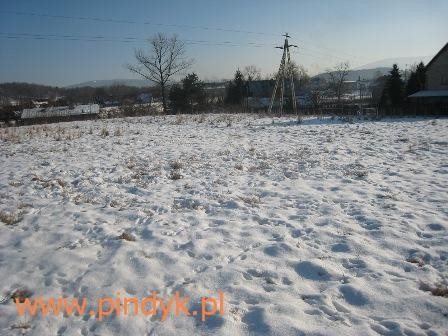 Działka budowlana na sprzedaż polska, Łomnica 1 190m2 Foto 1 Działka budowlana na sprzedaż polska, Łomnica 1 190m2 Foto 1