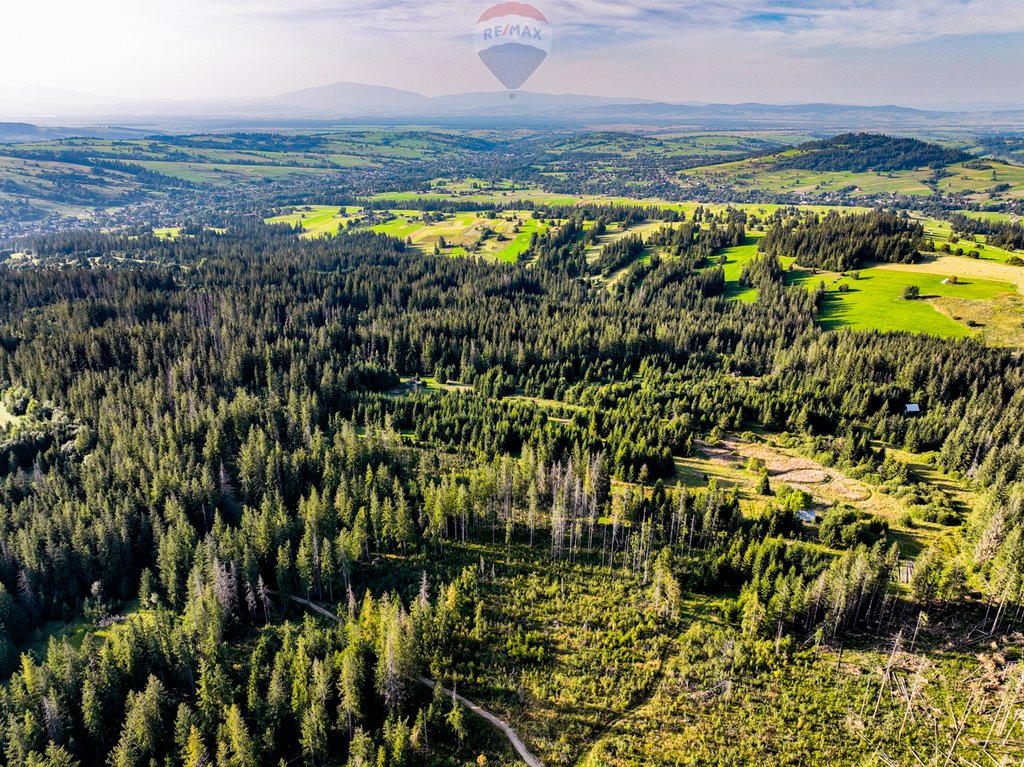 Działka rolna na sprzedaż Dzianisz  6 560m2 Foto 13