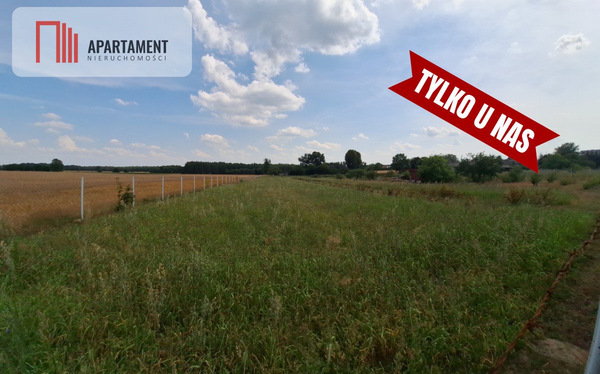 Działka gospodarstwo rolne na sprzedaż Lipka  1 005m2 Foto 5