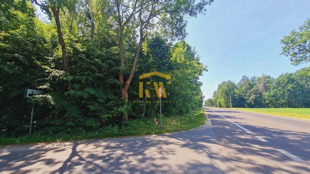 Duża działka leśna 14 845 m2 w Radomiu, Pruszaków Radom, Pruszaków  14 845m2 Foto 1