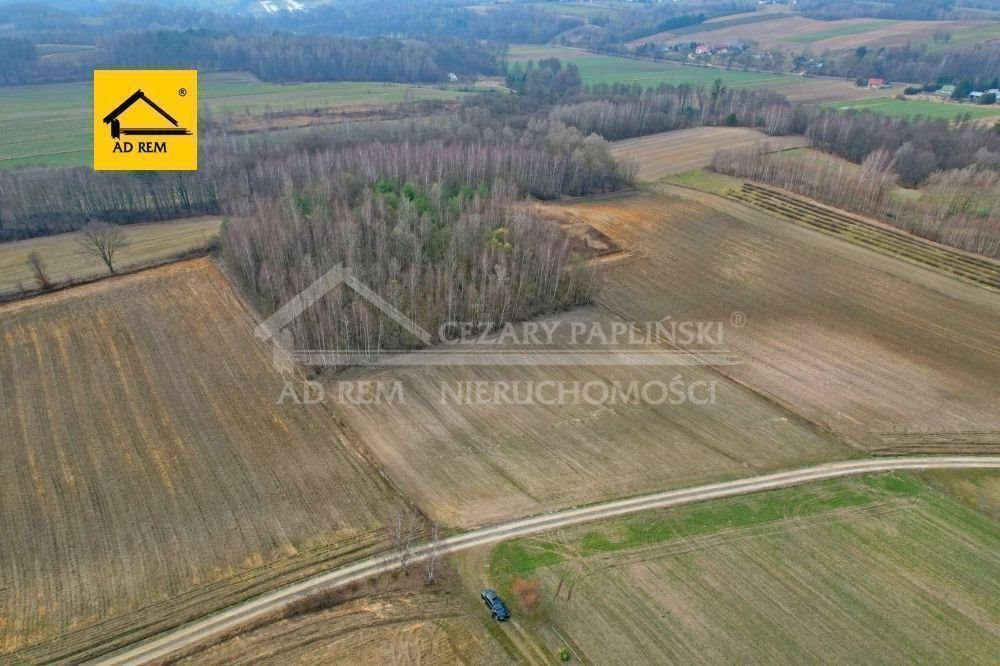 Na sprzedaż działka 9 667 m² z lasem i mediami w Zawadzie Zawada, Zawada, Celejów, Rąblów  9 667m2 Foto 1