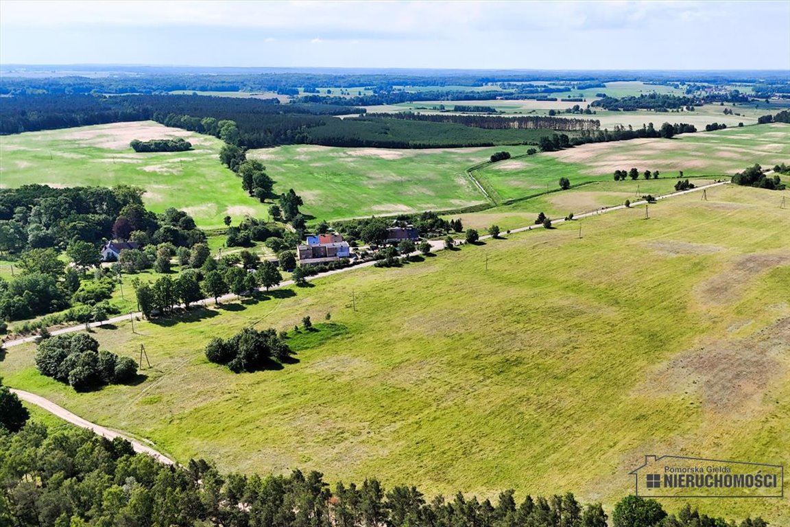 Działka siedliskowa na sprzedaż Dębowo  34 908m2 Foto 2