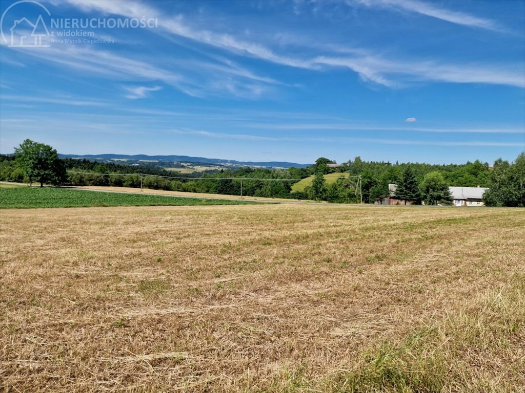 Działka budowlana na sprzedaż Turza  2 400m2 Foto 4