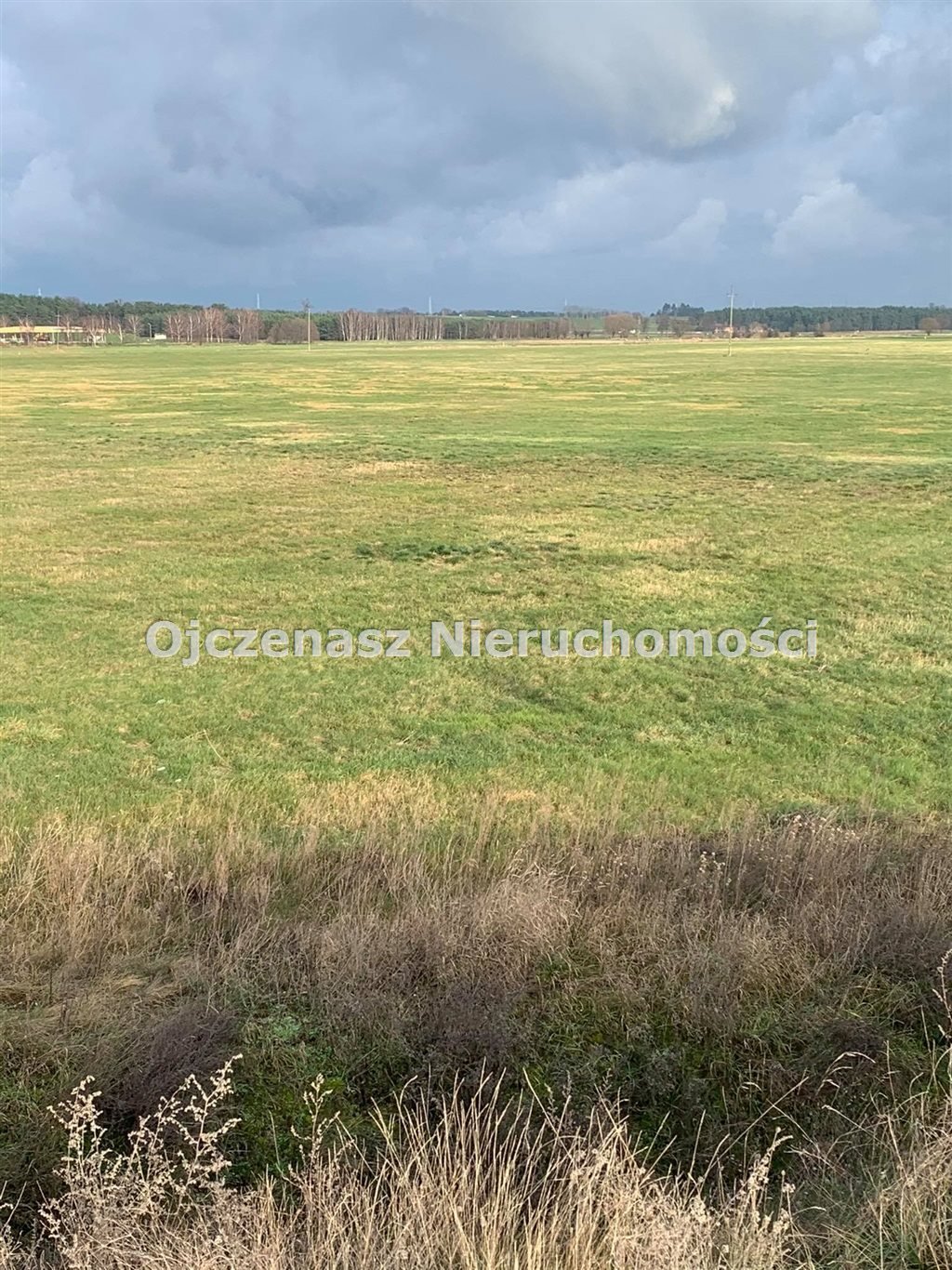 Działka inna na sprzedaż Smolniki  12 847m2 Foto 5