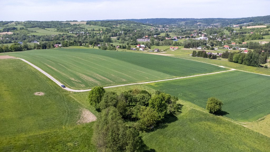 Działka budowlana na sprzedaż Nowy Borek  10 155m2 Foto 9