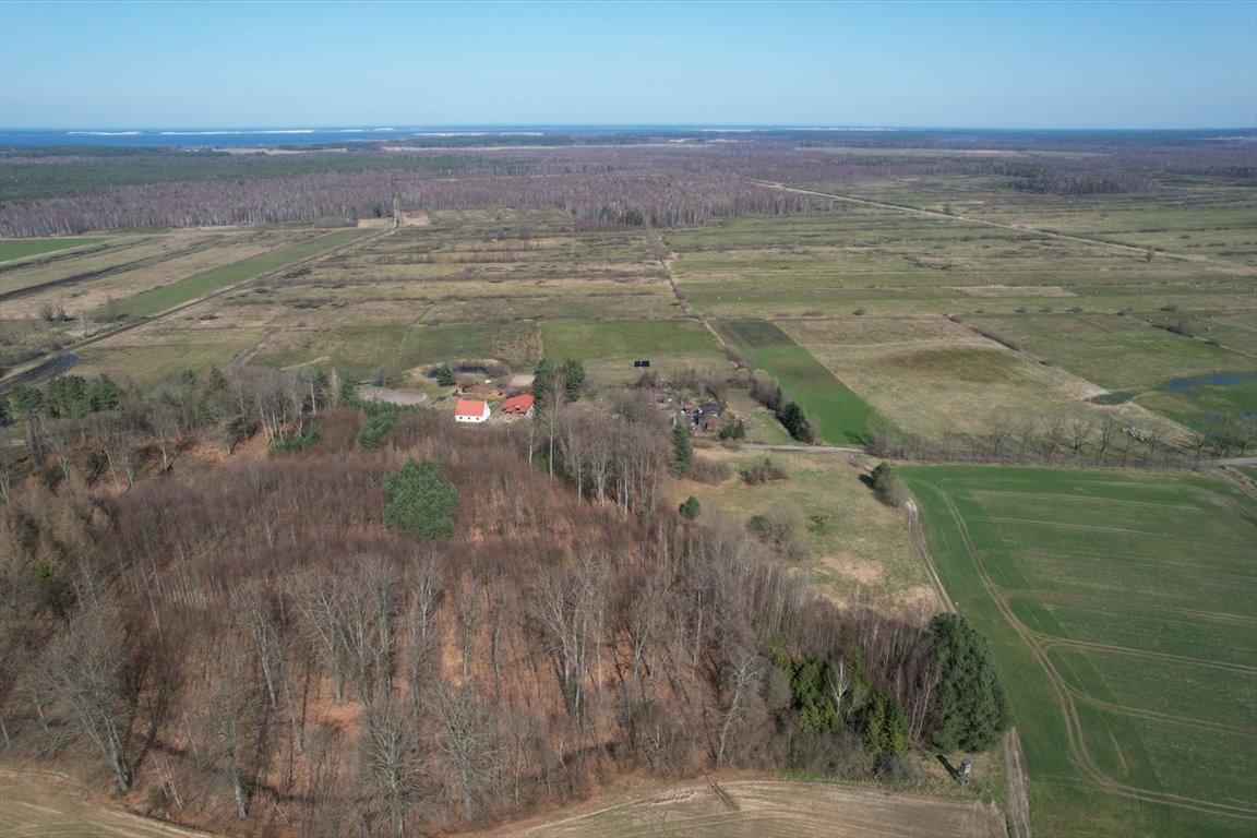 Działka rolna na sprzedaż Rzuski Las, Rzuski Las  5 008m2 Foto 2