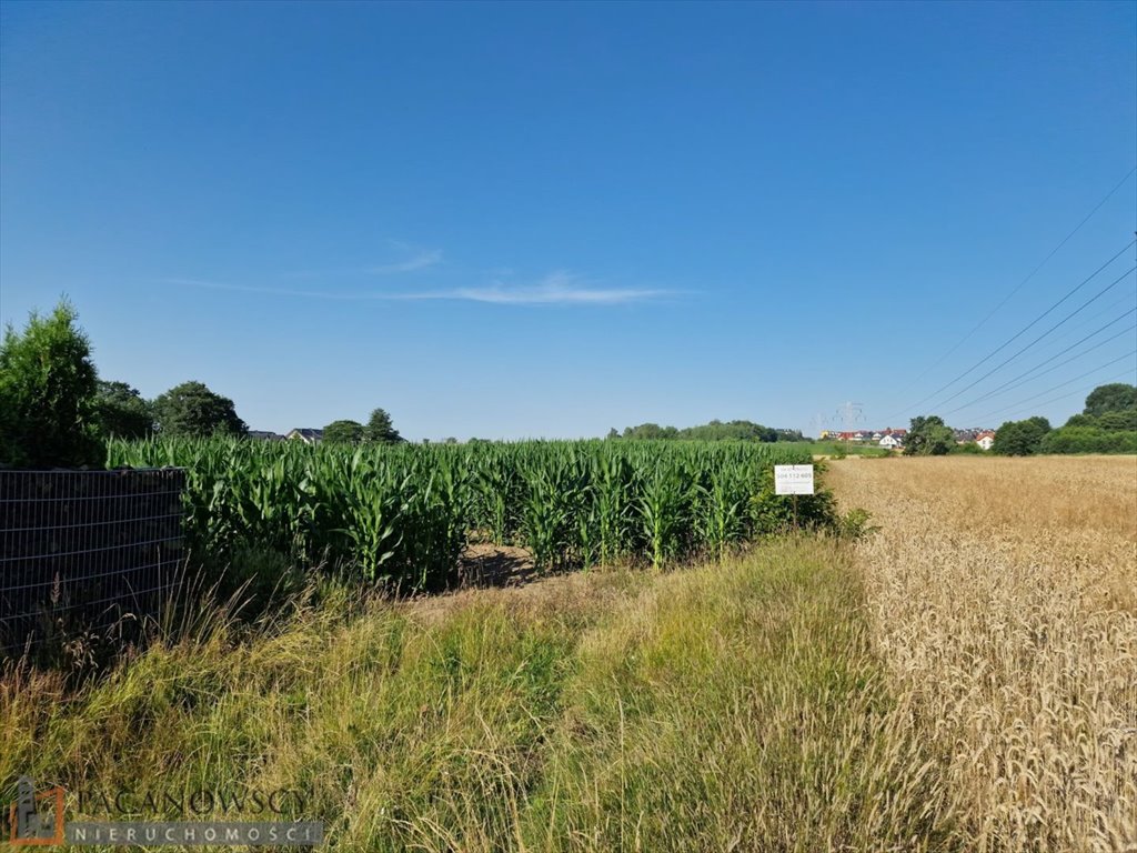 Działka 1,06 ha z częścią budowlaną, media, spokojna okolica Bibice  10 060m2 Foto 1