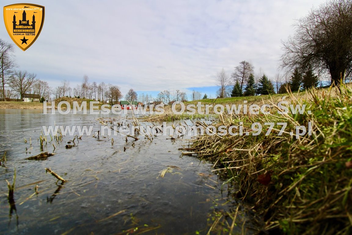 Działka inwestycyjna na sprzedaż Pętkowice  3 000m2 Foto 14