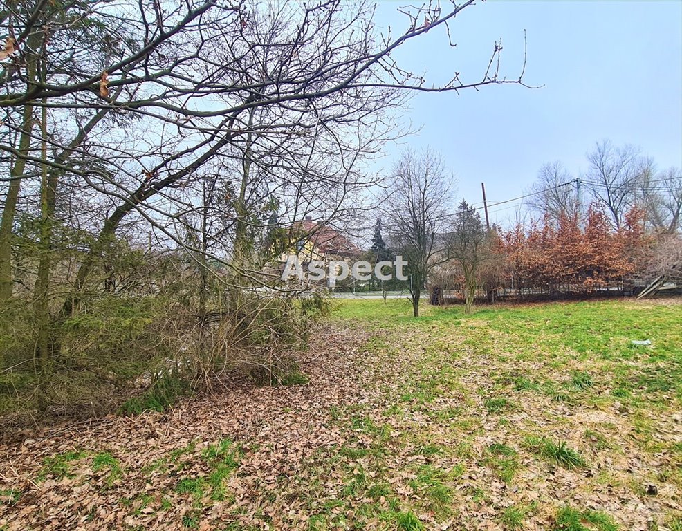 Działka budowlana na sprzedaż Rogów  3 268m2 Foto 1