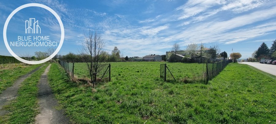 Działka inna na sprzedaż Wierzbica, leśna  1 000m2 Foto 6