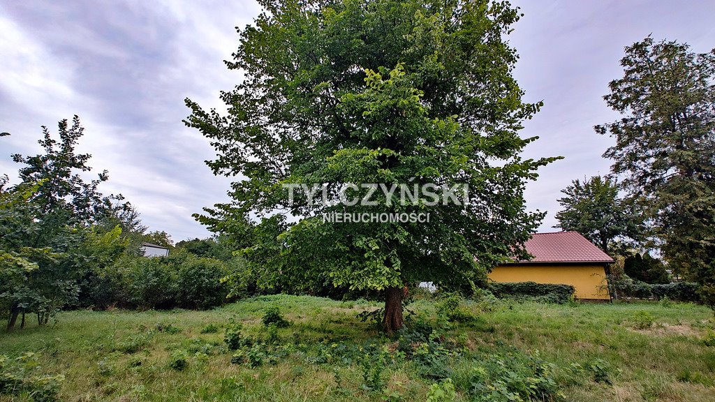 Działka inwestycyjna na sprzedaż Grodzisk Mazowiecki  1 768m2 Foto 3