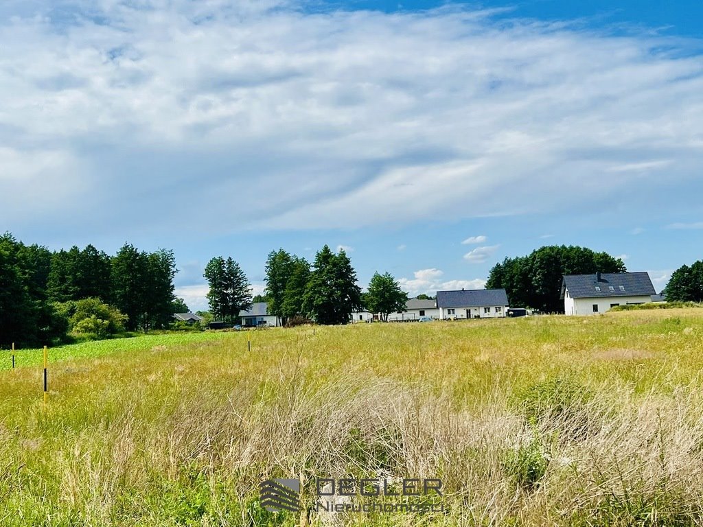 Działka budowlana na sprzedaż Deszczno  1 174m2 Foto 3