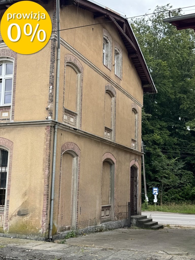 Lokal użytkowy na sprzedaż Czerwonka  270m2 Foto 1