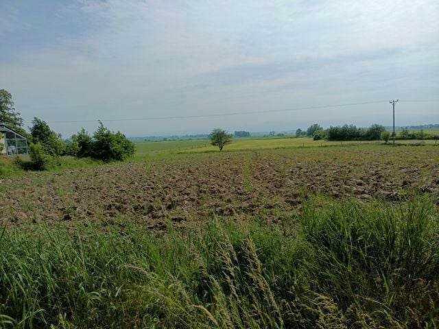 Działka budowlana na sprzedaż Jaźwina, Jaźwina  1 517m2 Foto 1