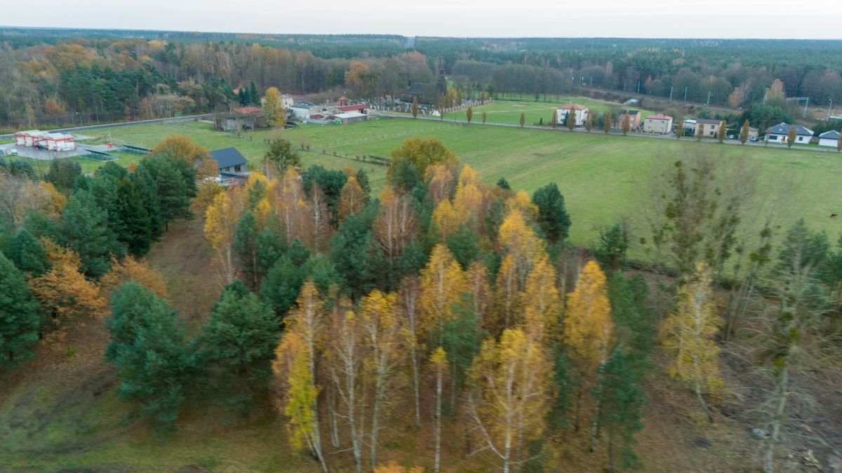 Działka budowlana na sprzedaż Koszęcin, Słowików  1 325m2 Foto 6