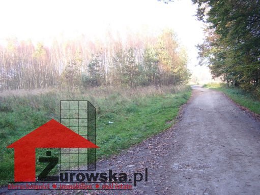 Działka budowlana na sprzedaż Leśnica, Łąki Kozielskie  4 000m2 Foto 2