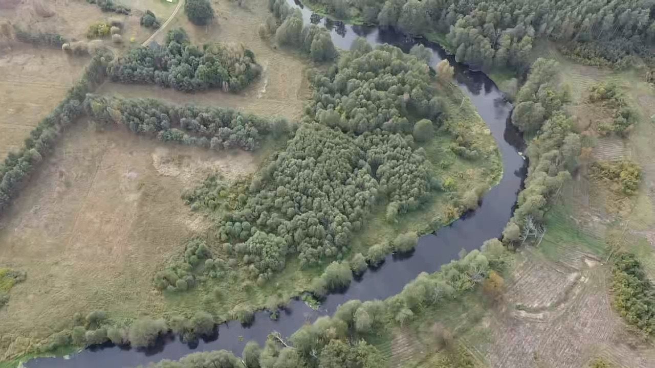 Działka rekreacyjna na sprzedaż Lamkowizna, Lamkowizna  6 000m2 Foto 3