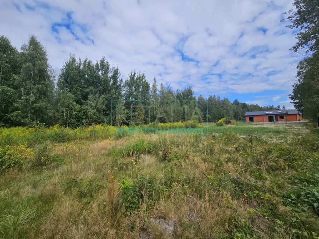 Działka budowlana na sprzedaż Czarny Las  1 500m2 Foto 1