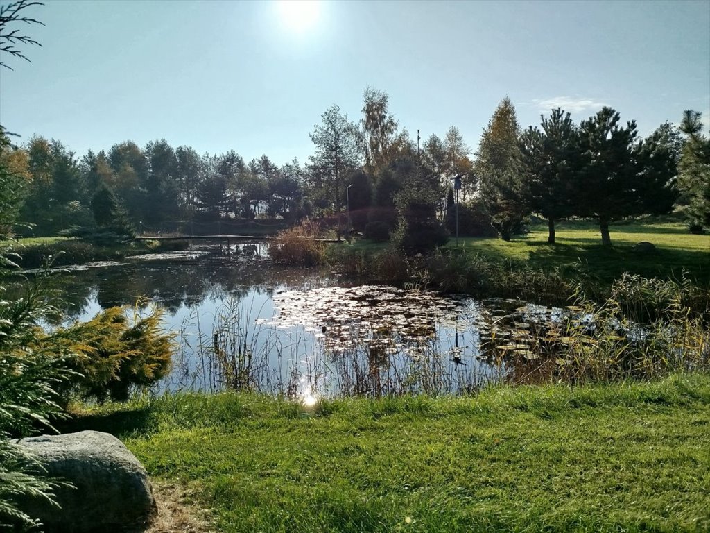 Działka siedliskowa na sprzedaż Strzeżewo  17 000m2 Foto 1