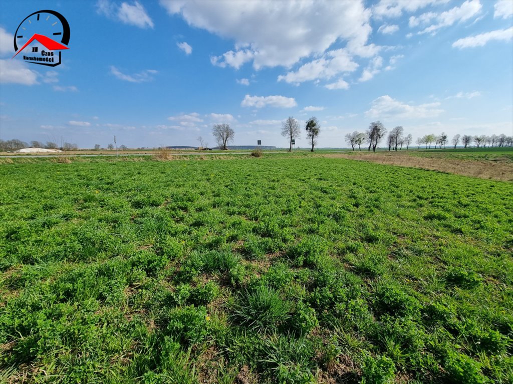 Działka budowlana na sprzedaż Szubin  3 743m2 Foto 3