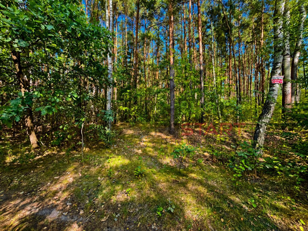 Działka 15 700 m² z planem zabudowy i rekreacji Słubica Dobra  15 700m2 Foto 1