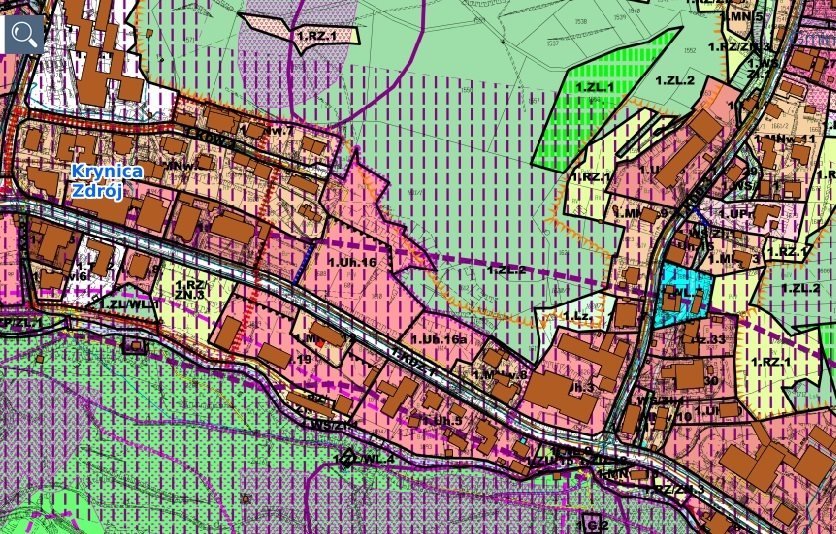 Działka inwestycyjna na sprzedaż Krynica-Zdrój  8 665m2 Foto 3