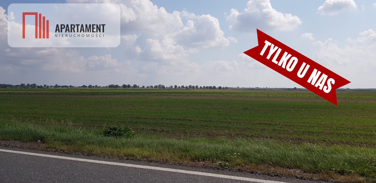 Działka inwestycyjna 6300 m2 przy S10, warunki zabudowy Lisi Ogon, Cicha  6 300m2 Foto 1