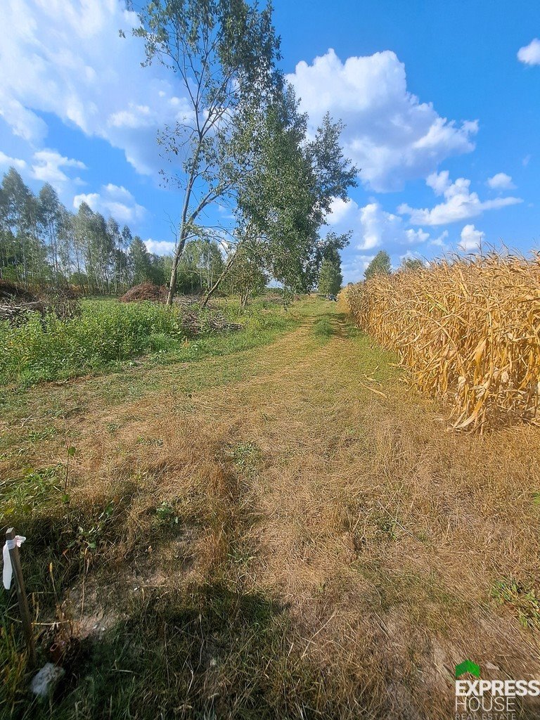 Działka budowlana na sprzedaż Brończany  900m2 Foto 1