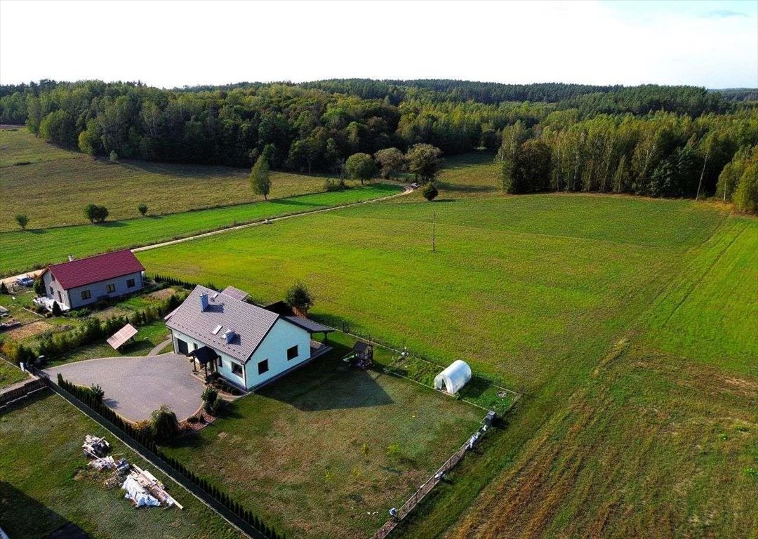 Działka rolna na sprzedaż Lipowa Góra Wschodnia  1 650m2 Foto 4