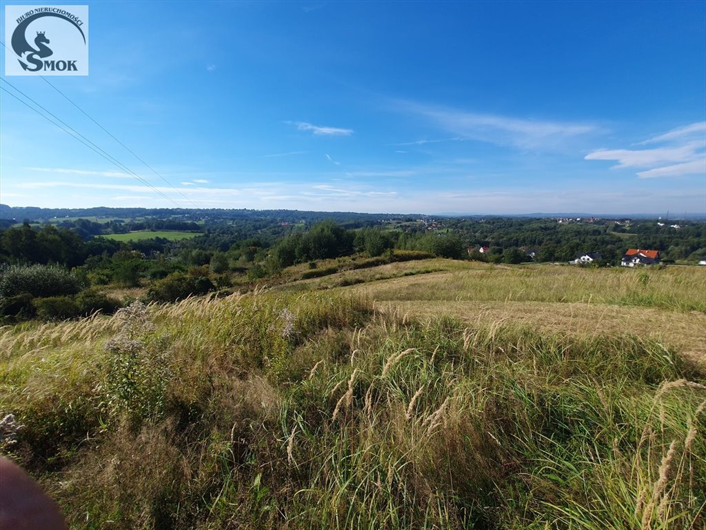 Działka rolna na sprzedaż Brzyczyna  3 500m2 Foto 1