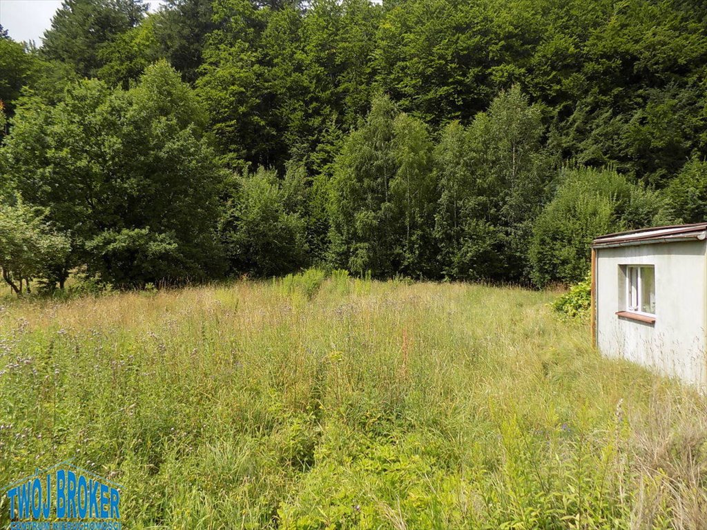 Polecam działkę 2230 m² w Rumii z widokiem na las Rumia, Szmelta, Świętego Józefa  2 230m2 Foto 1