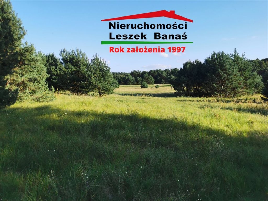 Zdjęcie 4