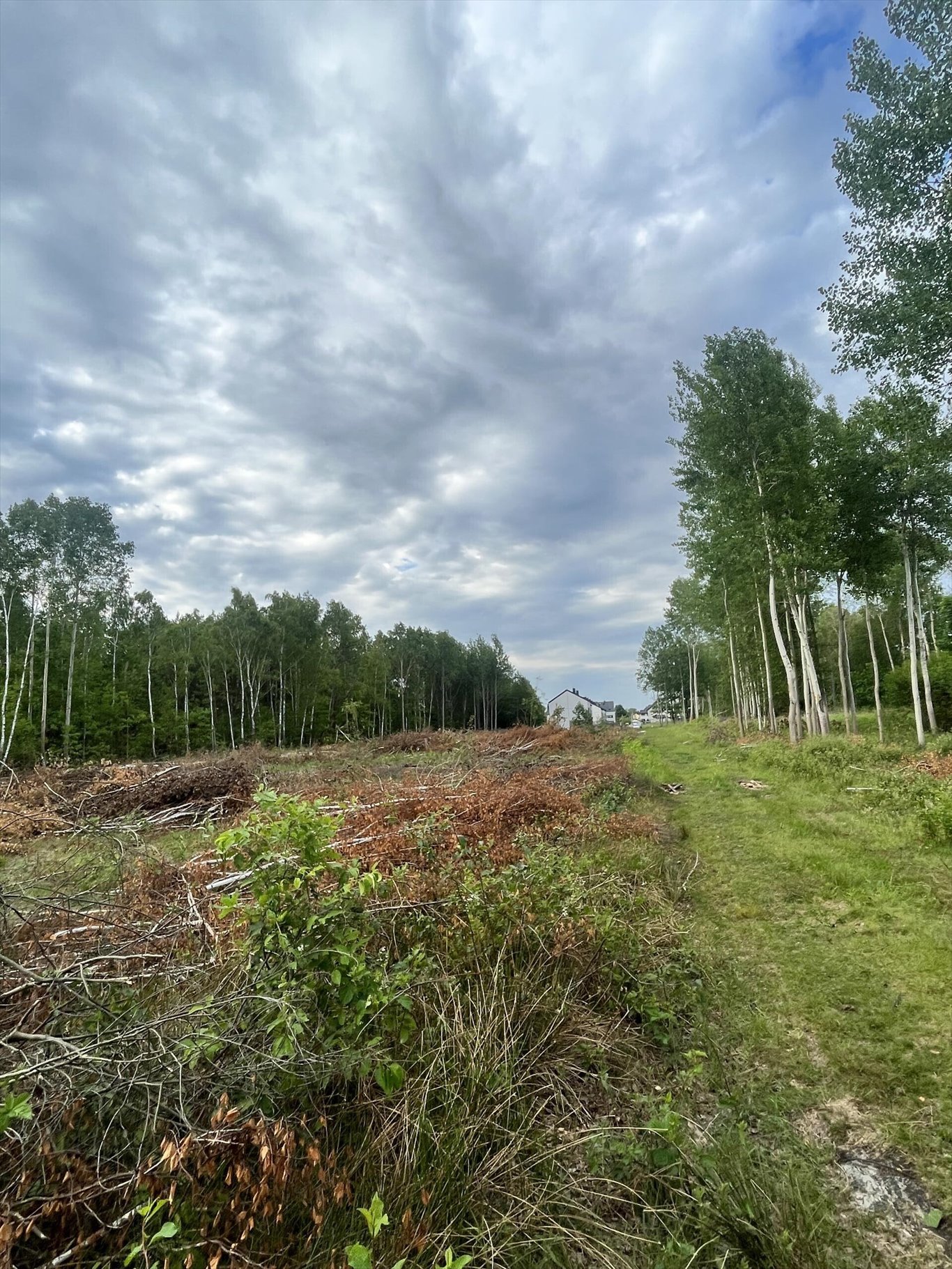 Działka budowlana na sprzedaż Kobyłka, Niecała  1 160m2 Foto 1