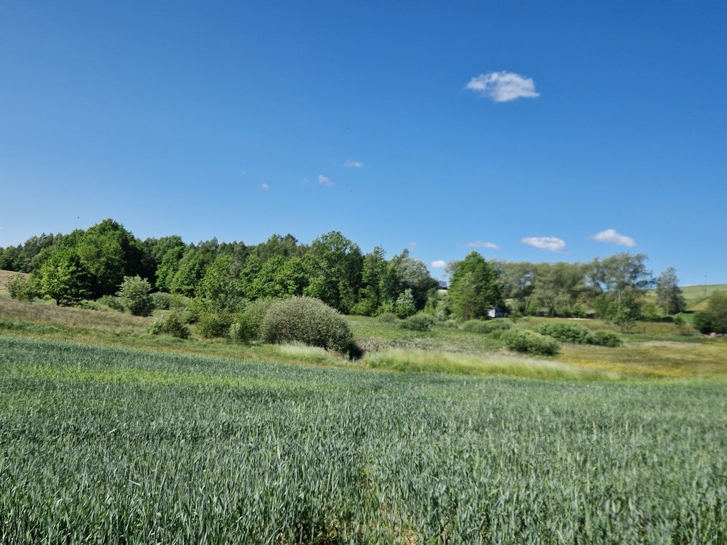 Działka budowlana na sprzedaż Szarłata, Spadzista  15 977m2 Foto 19