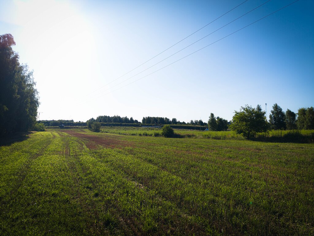 DZIAŁKA ROLNA NR 112/11 O POWIERZCHNI 7 256 m² – N Natolin  7 256m2 Foto 1