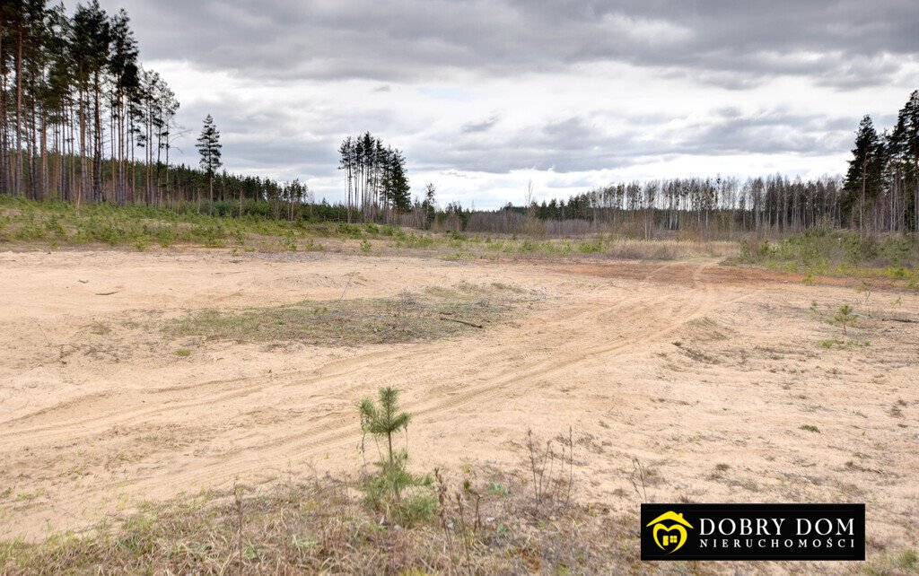 Zapraszam do zakupu działek 3200 m² blisko Zalewu Siemianówka Siemianówka  3 200m2 Foto 1