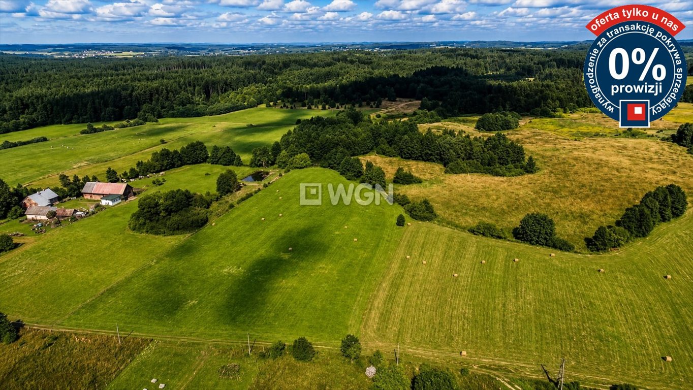 Działki przy lesie 3100 m² w Przykopce - zapraszam Przykopka  3 100m2 Foto 1