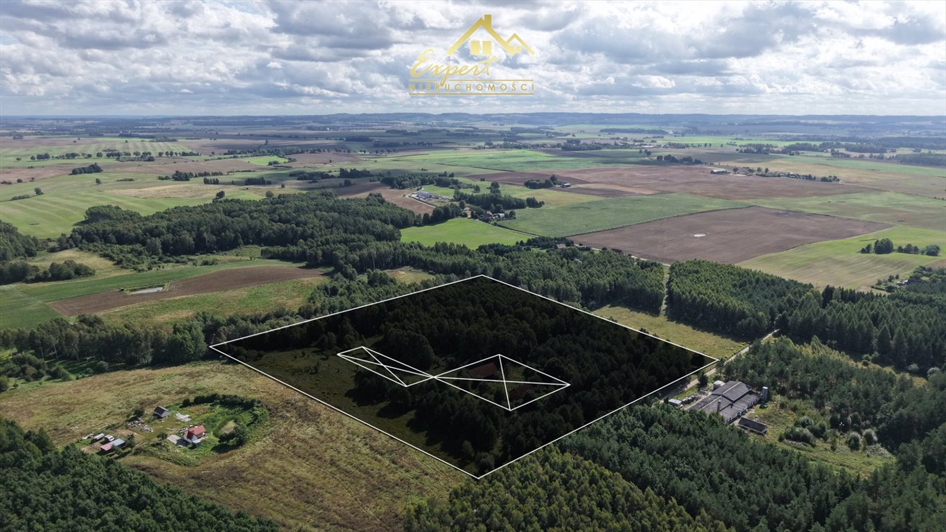 Sprzedam działkę 3002 m² z warunkami zabudowy w Turznicy Turznica  3 002m2 Foto 1