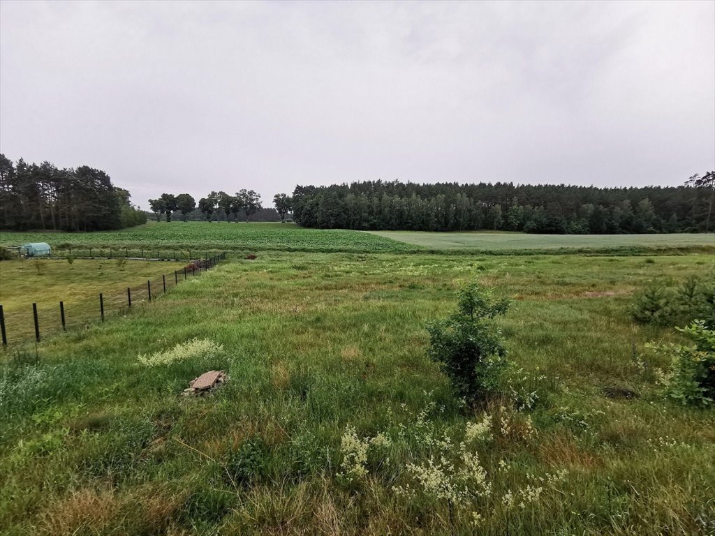 Działka budowlana na sprzedaż Międzybłocie, Międzybłocie  3 008m2 Foto 13