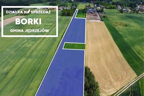 Działka inwestycyjna 9538 m² z WZ pod domy jednorodzinne Borki, 11  9 538m2 Foto 1