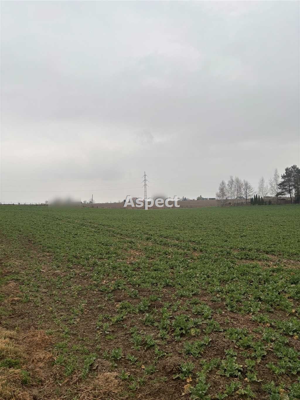 Działka budowlana na sprzedaż Pruchna  2 400m2 Foto 1