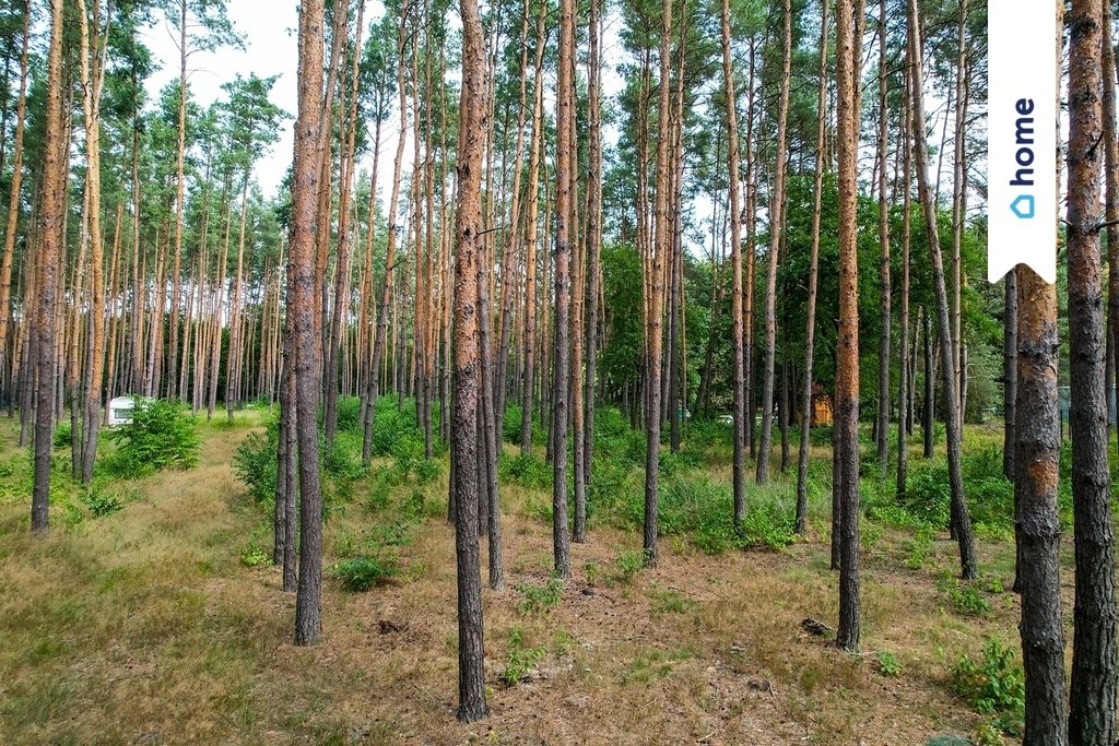 Działka budowlana na sprzedaż Otwock, Krecia  9 812m2 Foto 11