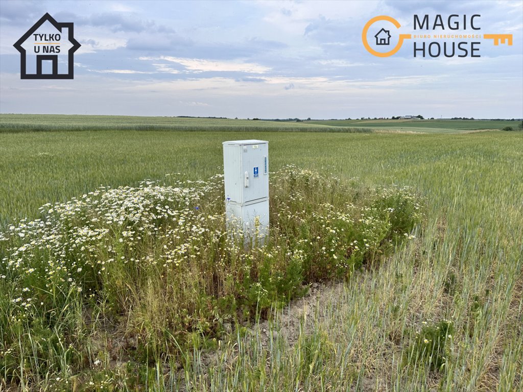 Działka budowlana na sprzedaż Lubiewo, Wojska Polskiego  1 008m2 Foto 8