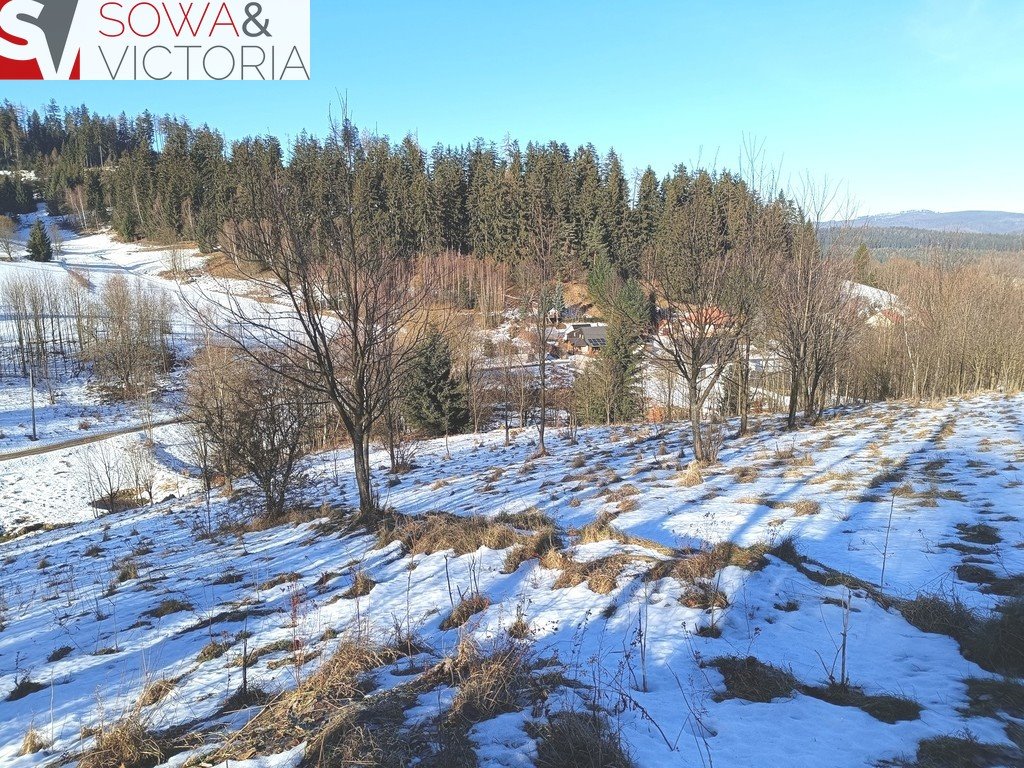 Działka inna na sprzedaż Bartnica  1 600m2 Foto 1